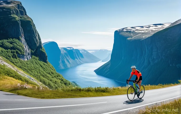 노르웨이에서의 자전거 여행 - **Prompt:** A lone cyclist on a state-of-the-art gravel bike, dressed in comfortable and appropriate...