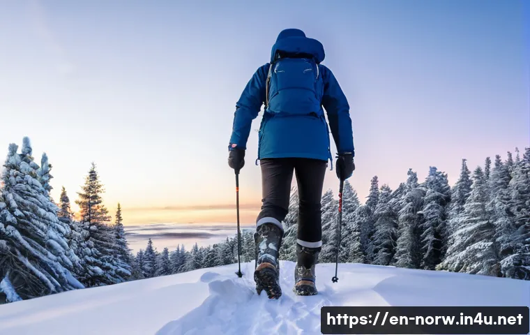 노르웨이 겨울철 여행 팁 - A cozy winter scene of a hiker in Norway dressed in layered winter clothing: wearing a moisture-wick...