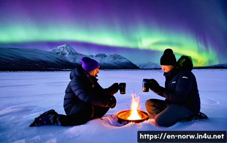 노르웨이 겨울철 여행 팁 관련 이미지 1